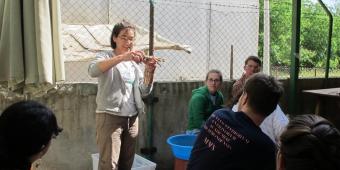 Field trip to an archaeology study